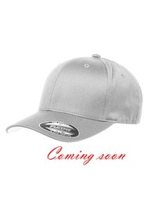 Flexfit Classic 5 Panel Baseball-Cap